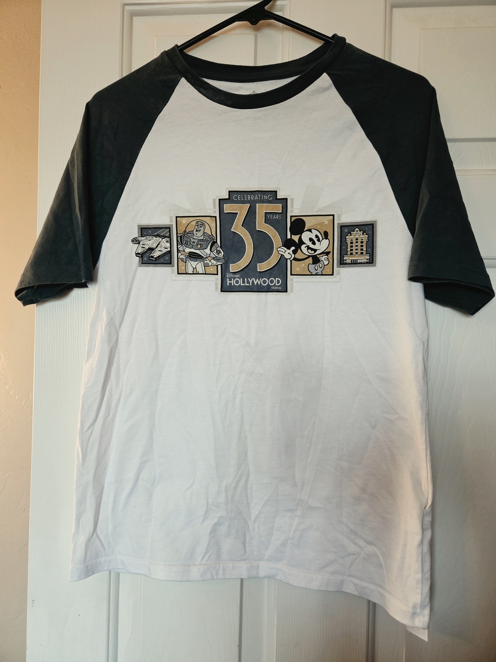 Disney 35th Anniversary Raglan Tee - White & Black